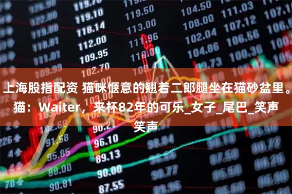 上海股指配资 猫咪惬意的翘着二郎腿坐在猫砂盆里。猫：Waiter，来杯82年的可乐_女子_尾巴_笑声